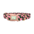 Floral Wild Rose Dog Collar - plastic rose gold