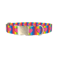 Rainbow Heart Dog Collar - metal silver