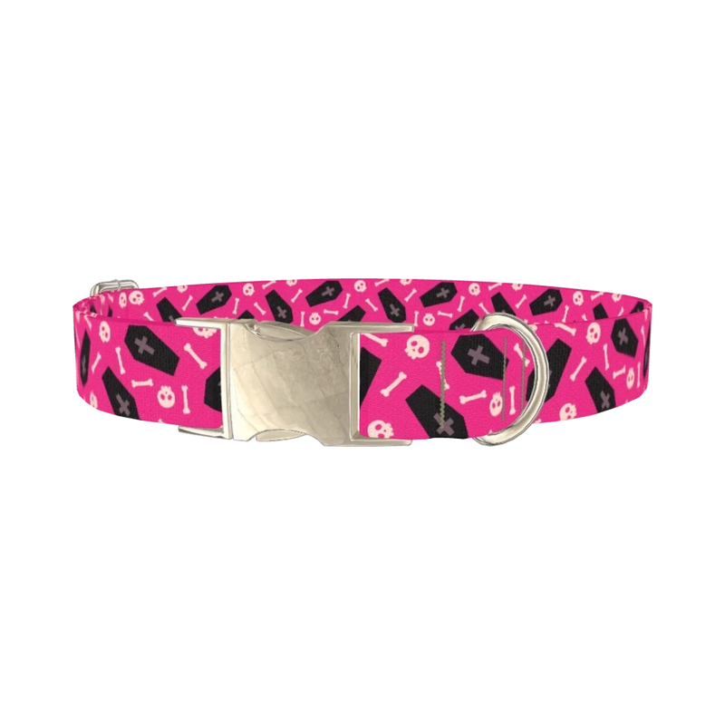 Halloween Coffins Dog Collar - metal silver