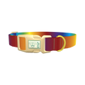 Rainbow Gradient Dog Collar - plastic gold