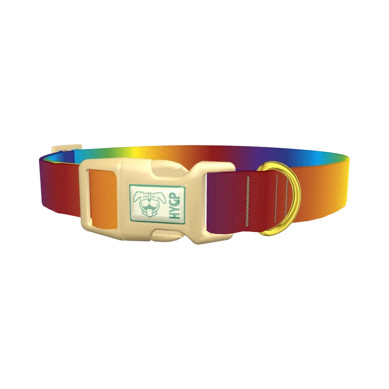 Rainbow Gradient Dog Collar - plastic gold