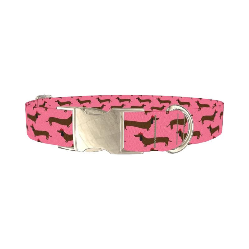 Dachshund Pattern Dog Collar - metal silver
