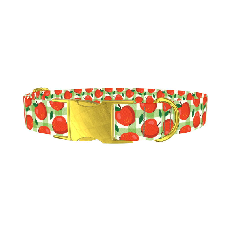 Apple Picnic Dog Collar - metal gold