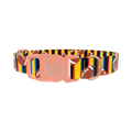 Striped Football Dog Collar - plastic rose gold