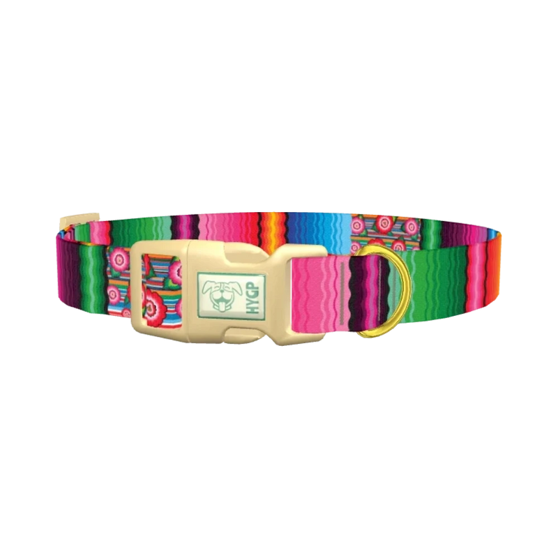 Mexican Floral Stripe Dog Collar - plastic gold