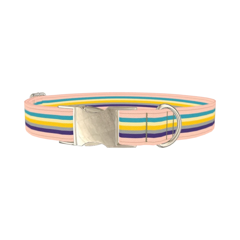 Multicolor Stripes Dog Collar - metal silver