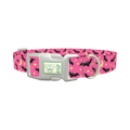 Halloween Bats Dog Collar - plastic silver