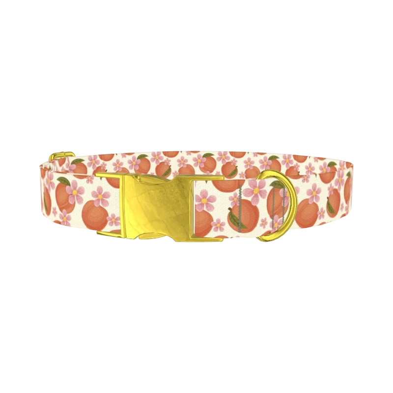 Peach Floral Dog Collar - metal gold