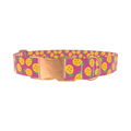 Pineapple Fruit Dog Collar - Thumbnail 2