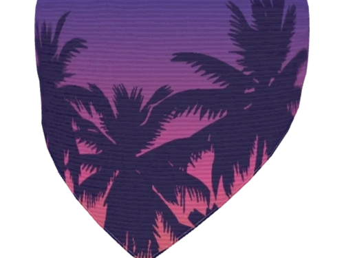 Tropical Sunset Dog Collar
