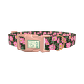 Floral Wild Rose Dog Collar - plastic rose gold