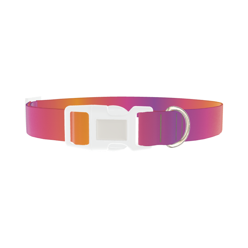 Gradient Pattern Dog Collar - plastic silver
