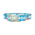 Pool Party Dog Collar - plastic silver