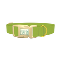  - plastic gold
