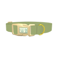  - plastic gold
