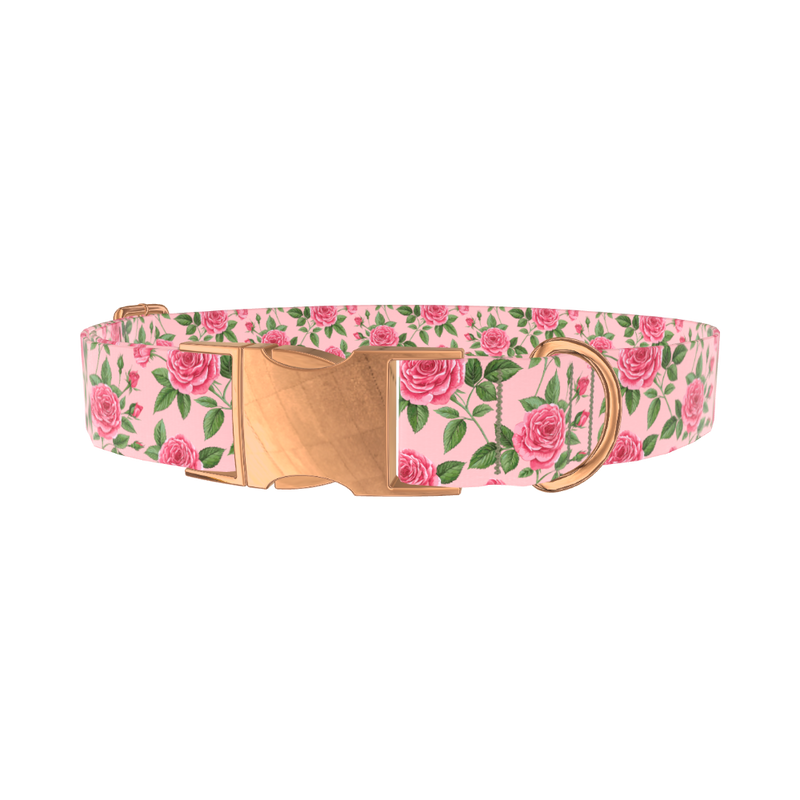 Floral Rose Dog Collar - metal silver