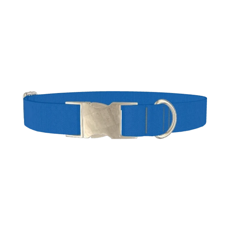 Beautiful Blue Color Dog Collar - metal silver