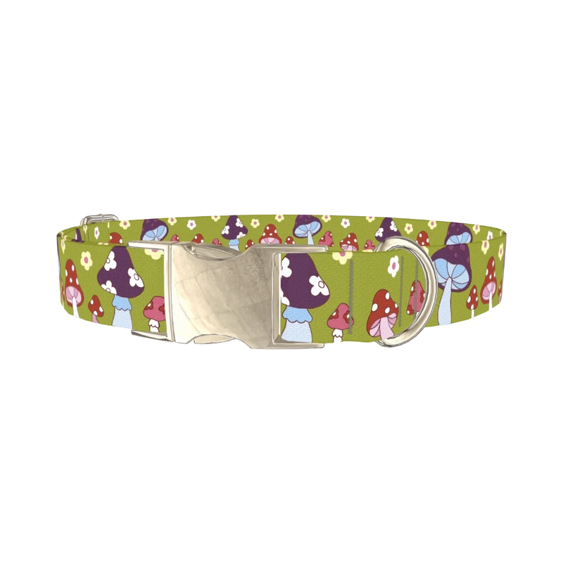 Whimsical Mushroom Dog Collar - metal silver