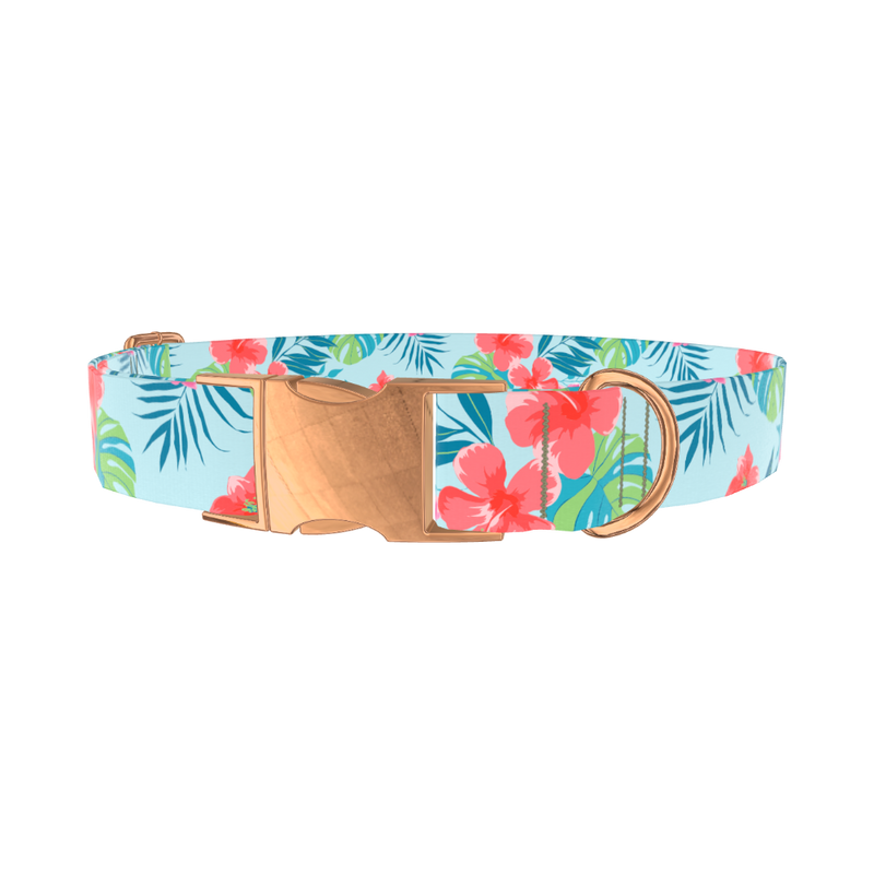 Multi Floral Hibiscus Dog Collar - metal silver