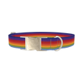 Rainbow Hexagon Dog Collar - metal silver