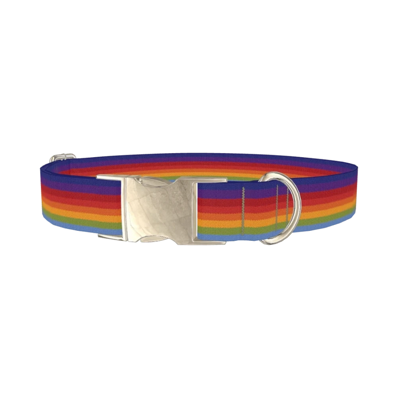 Rainbow Hexagon Dog Collar - metal silver