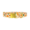Cozy Fall Dog Collar - metal gold