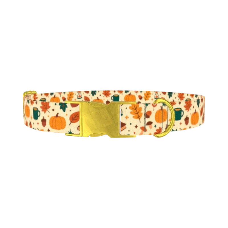 Cozy Fall Dog Collar - metal gold