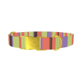 Green Striped Dog Collar - metal gold