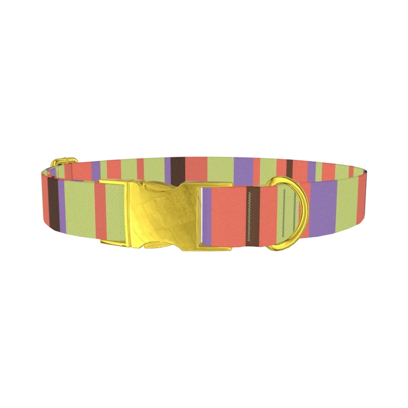 Green Striped Dog Collar - metal gold