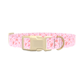 Floral Watercolor Dog Collar - plastic rose gold