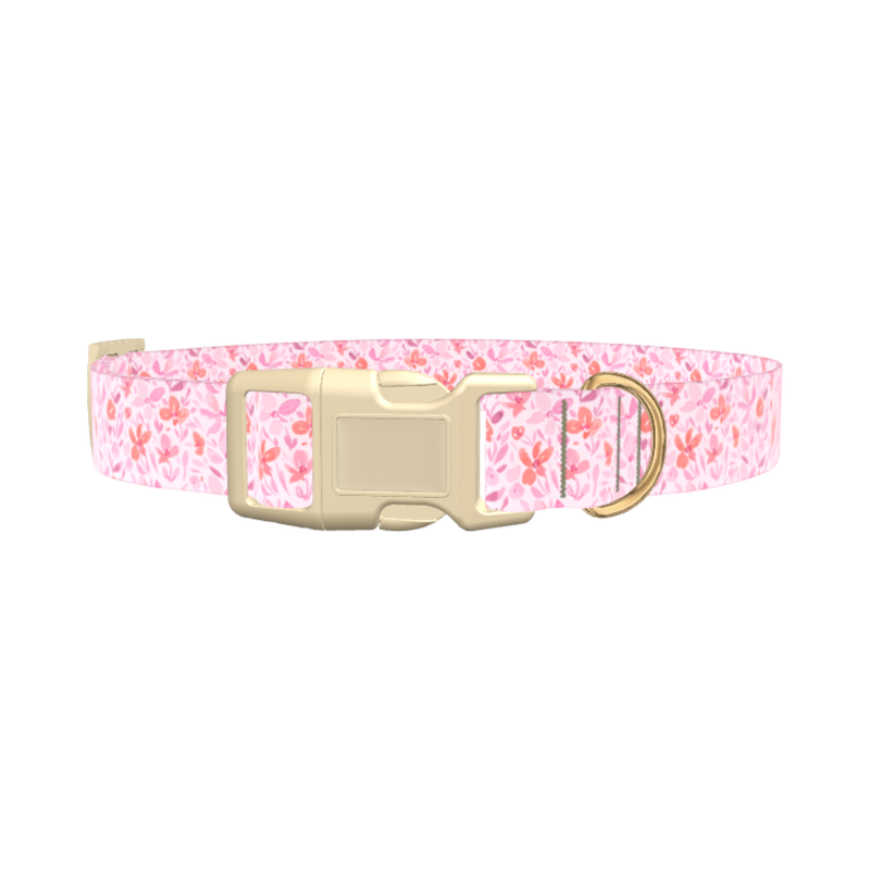 Floral Watercolor Dog Collar - plastic rose gold