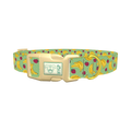 Fruit Pattern Dog Collar - plastic gold