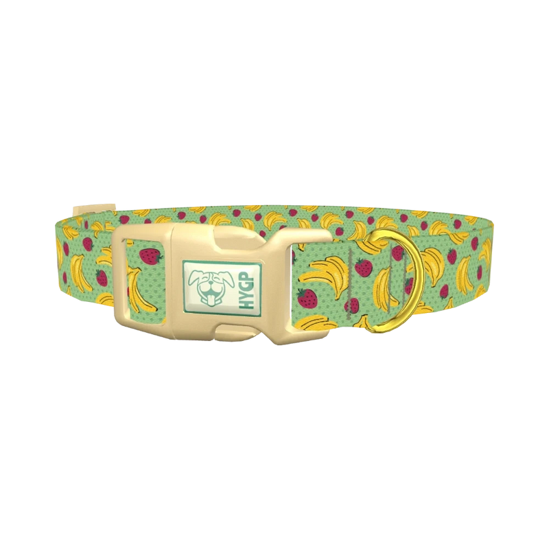 Fruit Pattern Dog Collar - plastic gold