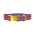 Multicolor Plaid Dog Collar - metal rose gold