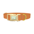  - plastic gold