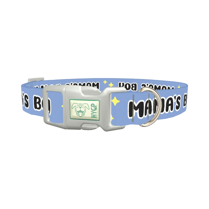 Mamas Boy Dog Collar - plastic silver