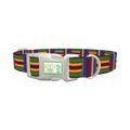 Azure Brown Green Stripe Dog Collar - plastic silver