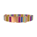 Purple Blue Green Stripes Dog Collar - metal rose gold