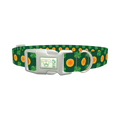 St. Patrick's Clover Coin Dog Collar - plastic silver