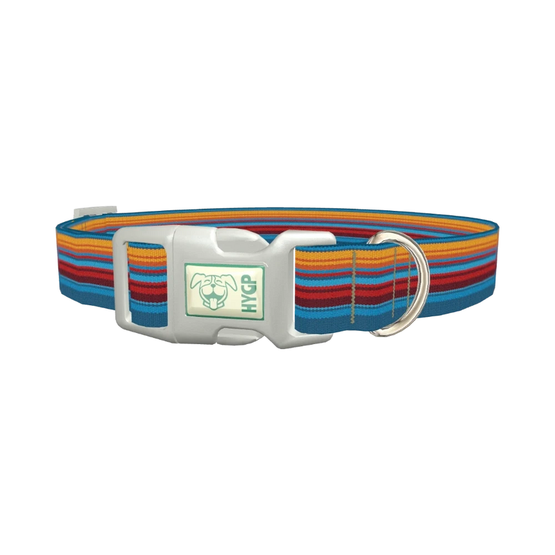 Colorful Geometric Stripe Dog Collar - plastic silver