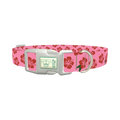 Pink Hibiscus Floral Dog Collar - plastic silver