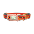 Retro Arrow Stripe Dog Collar - plastic rose gold