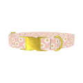 Peach Daisy Pattern Dog Collar - metal gold