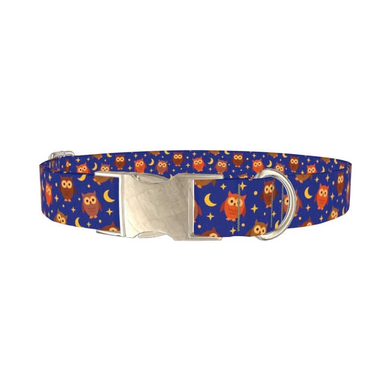Night Owl Dog Collar - metal silver