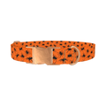 Halloween Tarantula Dog Collar - metal rose gold
