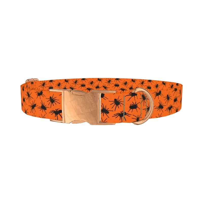 Halloween Tarantula Dog Collar - metal rose gold
