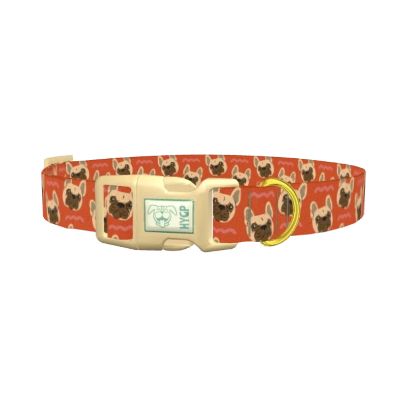 French Bulldog Dog Collar - plastic gold