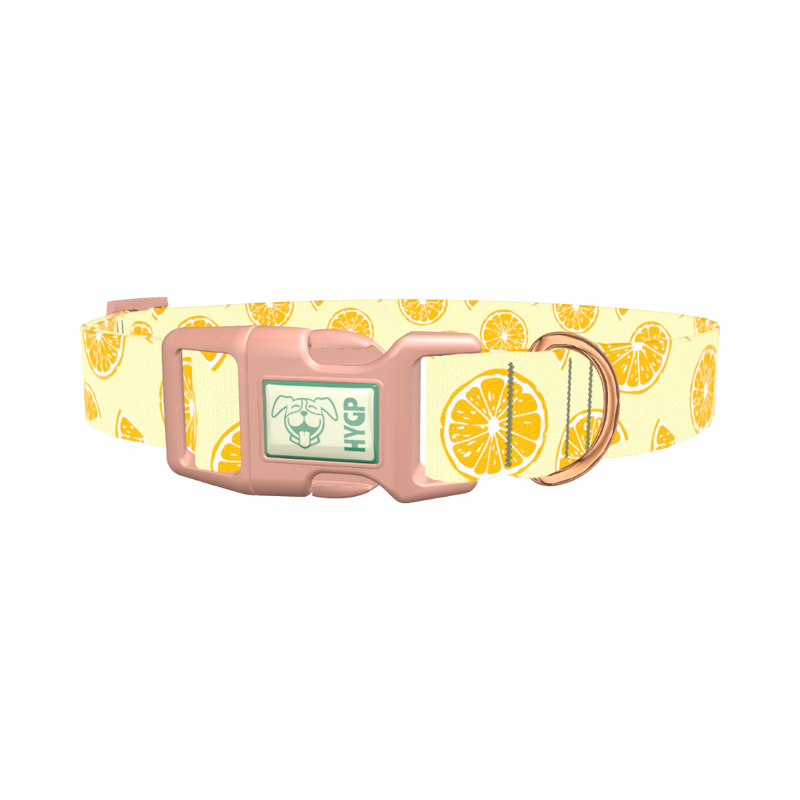 Yellow Citrus Slice Dog Collar