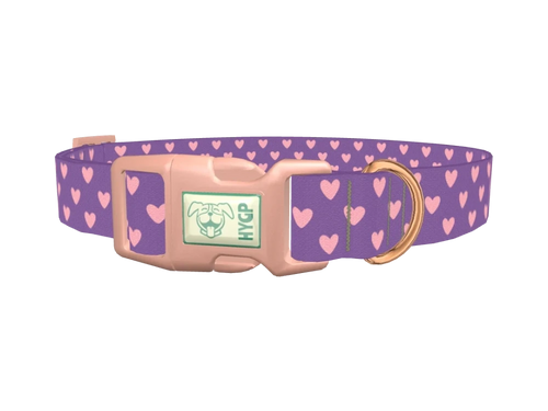 Violet Heart Dog Collar