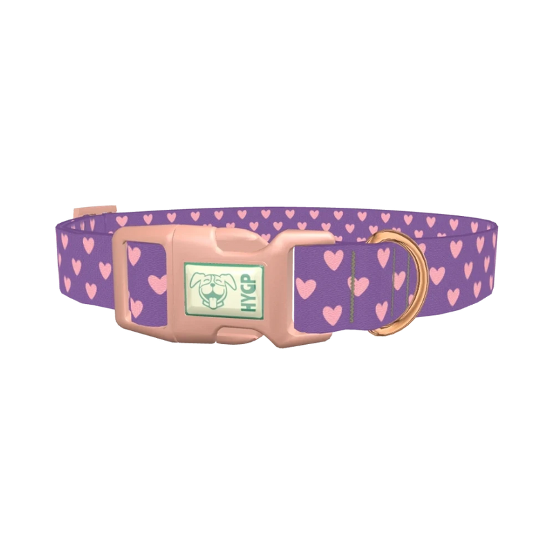 Violet Heart Dog Collar - plastic rose gold